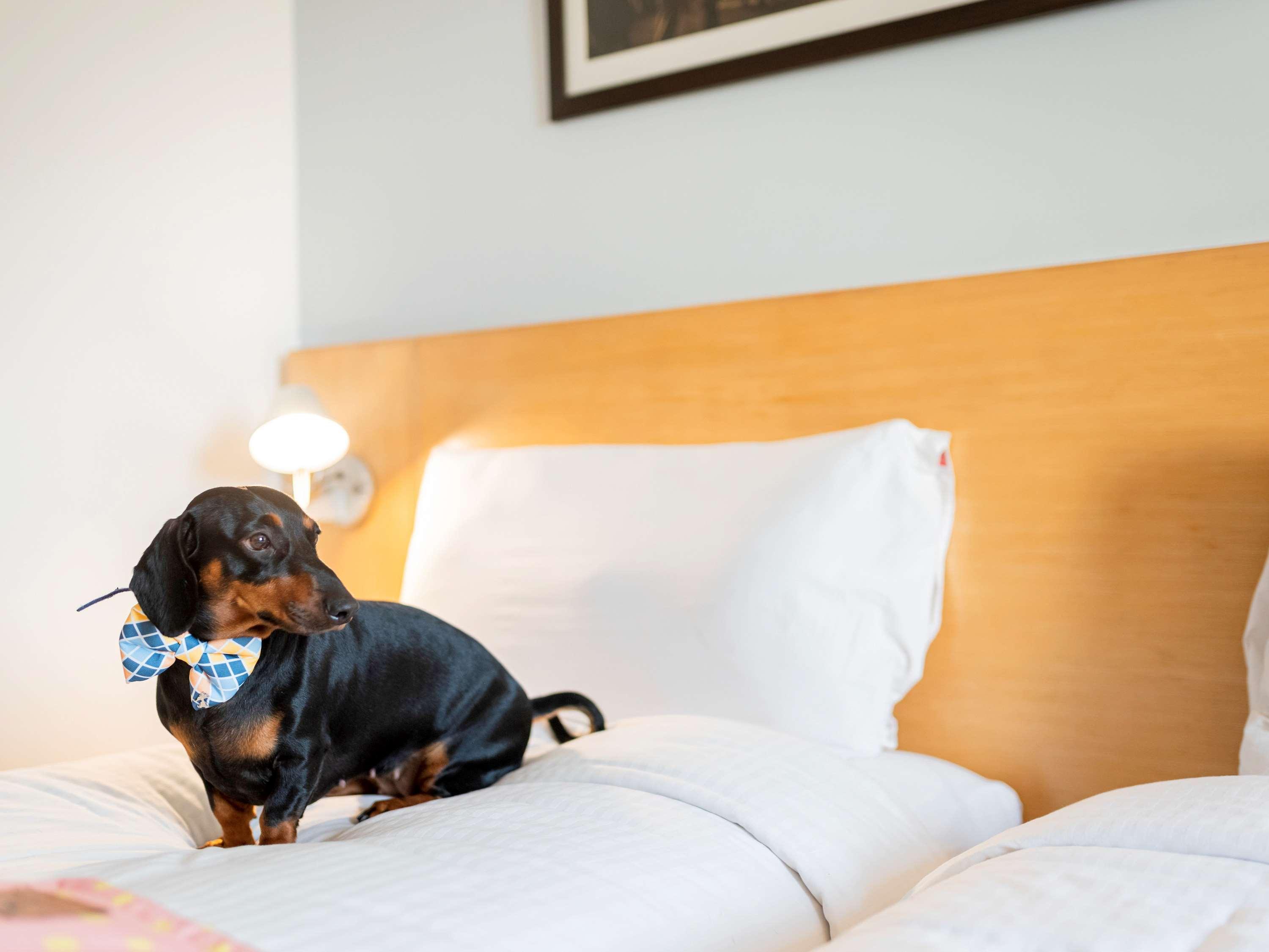 Ibis Chennai Omr - An Accor Brand Hotel Luaran gambar