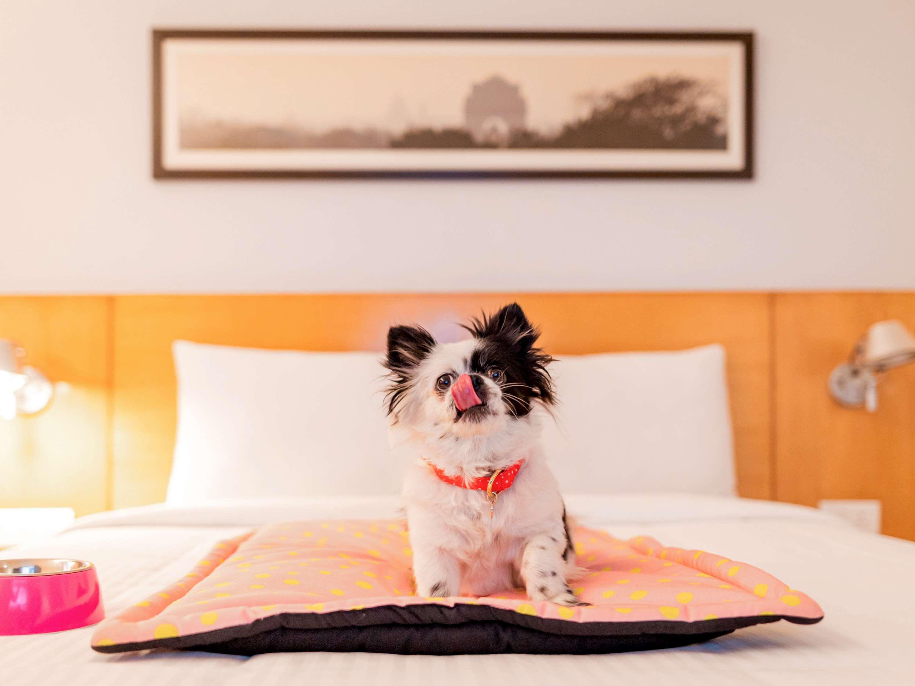 Ibis Chennai Omr - An Accor Brand Hotel Luaran gambar
